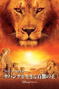 サバンナを生きる百獣の王