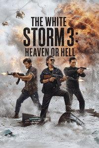 The White Storm 3: Heaven or Hell