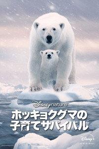 ホッキョクグマの子育てサバイバル