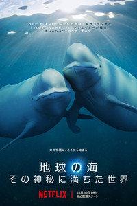 地球の海: その神秘に満ちた世界