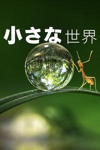 小さな世界