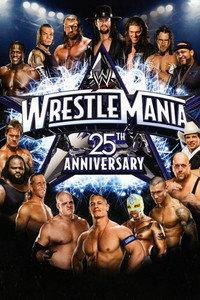 WWE レッスルマニアXXV