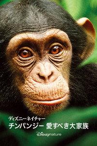 ディズニーネイチャー　サルの王国とその掟