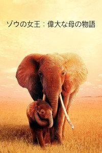 ゾウの女王：偉大な母の物語