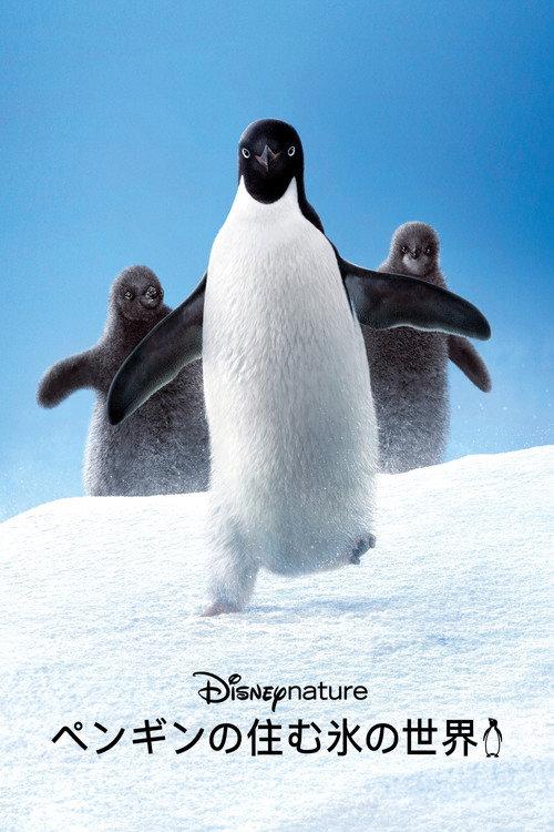 ペンギンの住む氷の世界