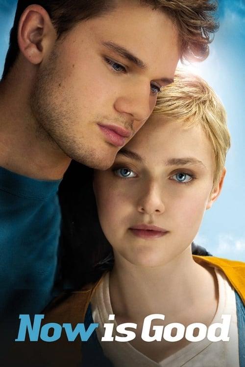 17歳のエンディングノート
