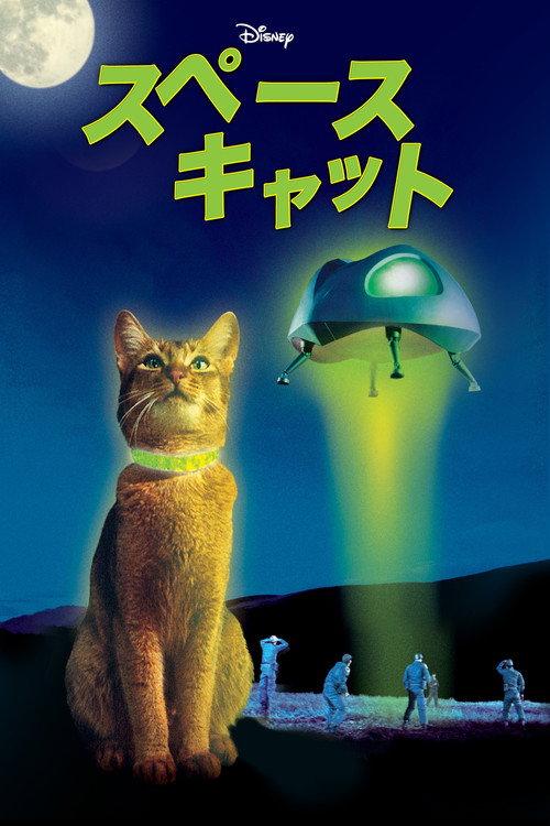 スペースキャット