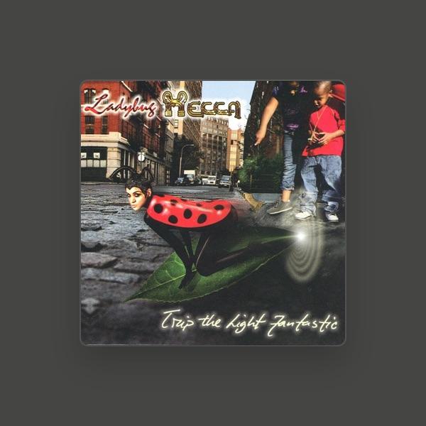 Ladybug Mecca