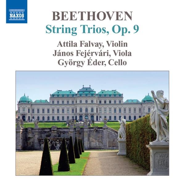 String Trio In C Minor, Op. 9, No. 3: IV. Finale: Presto