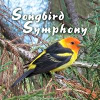 Songbird Lullaby
