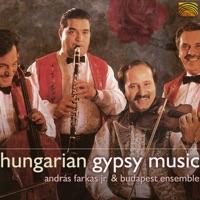 In einem Palast am Ring / Die Taube ist hinaufgeflogen / Eins, zwei, drei, vier / Traditioneller schneller Csardas