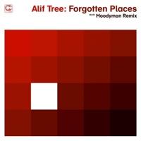 Forgotten Places (Moodymann Remix)