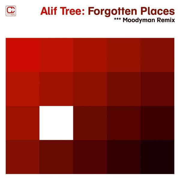 Forgotten Places (Moodymann Remix)