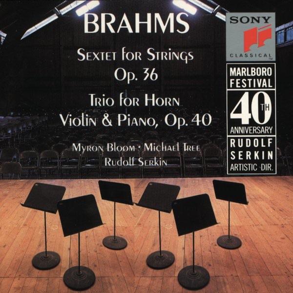 String Sextet in G Major, Op. 36: II. Scherzo: Allegro non Troppo
