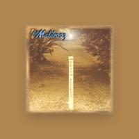 The Malibooz