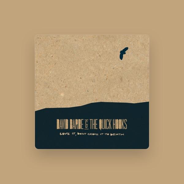 David Barbe & the Quick Hooks