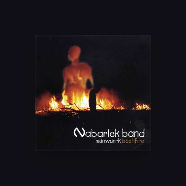 Nabarlek Band