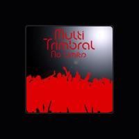 Multi Timbral