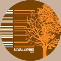 Attention II Detail Disorder (John Alan Remix)