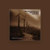 Wonderful Broken Thing