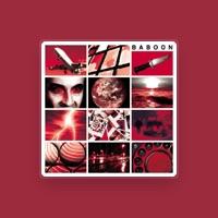 Baboon