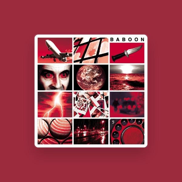 Baboon