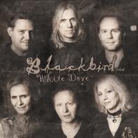White Dove