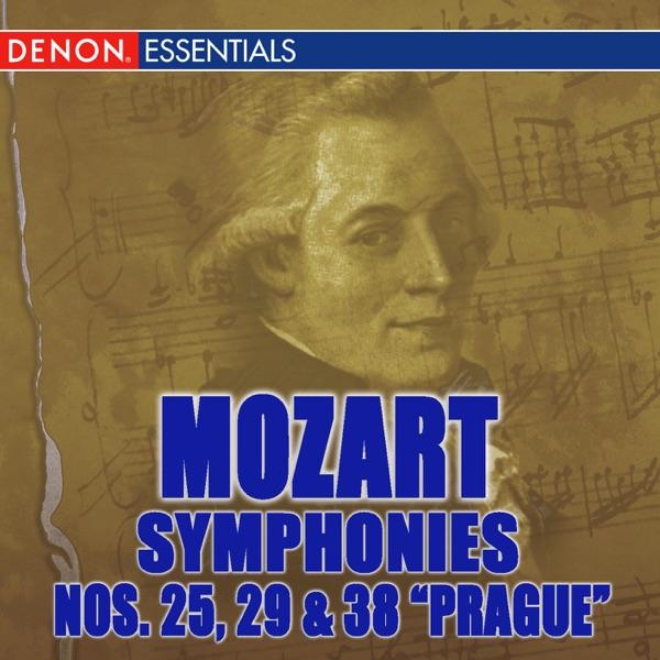 Symphony No. 25 In G Minor, K. 183: I. Allegro Con Brio