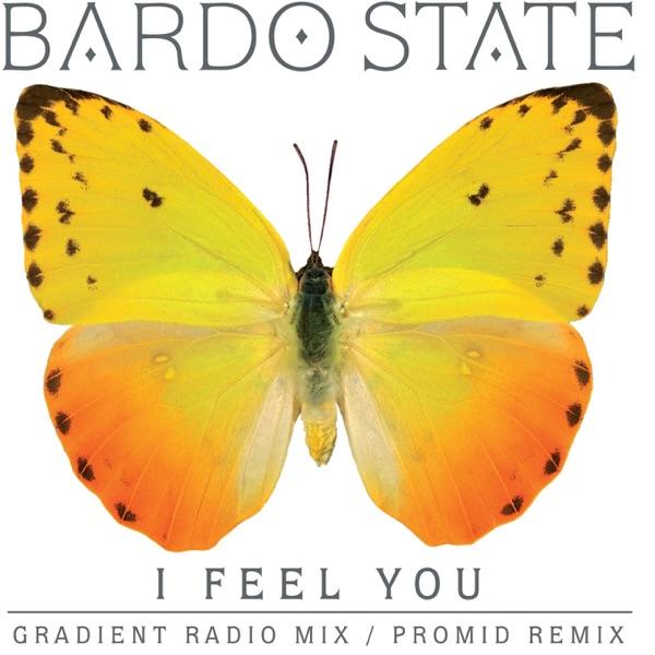 I Feel You (Gradient Radio Mix)