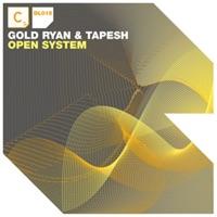 Dual System