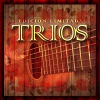 Serenata a Toluca