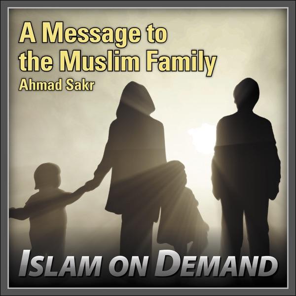 Q&A: Muslim Lobbyists and Ambassadors
