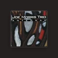 Joe Morris Trio