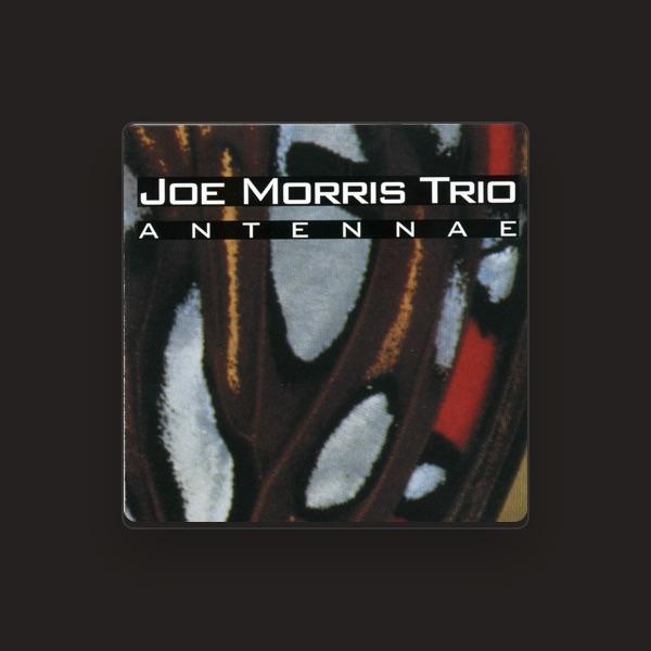Joe Morris Trio