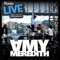 Lying (Live At The ARIA's 2010)