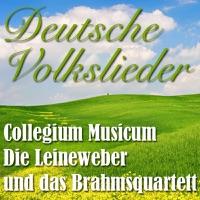 Tanzen Und Springen
