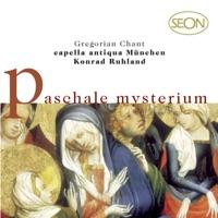 Procedamus in pace! - Cum angelis & Psalm 24 (23), Verses 7-10 [Antiphon]