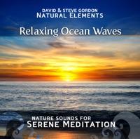 Relaxing Ocean Waves: Point Reyes, California