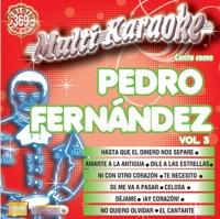 El Cantante (Karaoke)