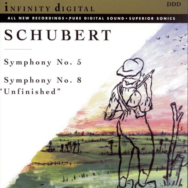Symphony No. 8 in B Minor ("Unfinished"), D. 759: II. Andante con Moto