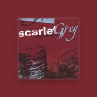 Scarlet Grey