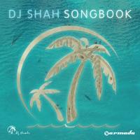 Going Wrong (feat. Chris Jones) [DJ Shah's Original Extended Mix]