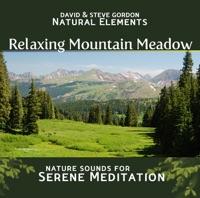 Relaxing Meadow Ambience With Peaceful Stream