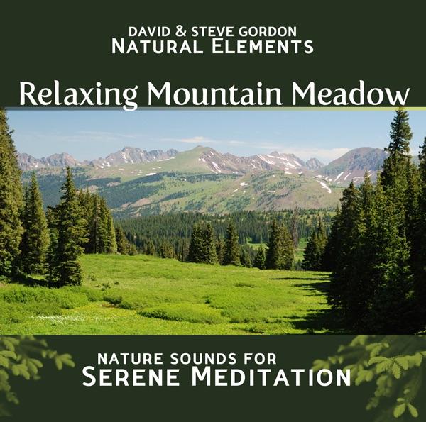 Relaxing Meadow Ambience At Sunset