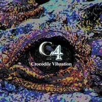 Crocodile Vibration