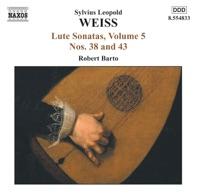 Lute Sonata No. 43 in A Minor: VI. Presto
