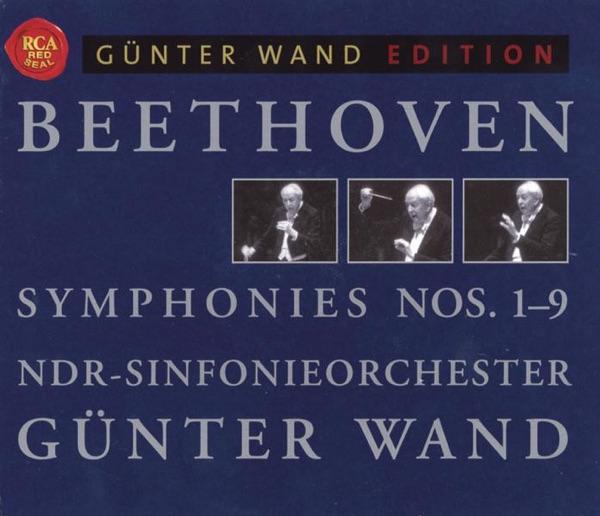 Symphony No. 9 In D Minor, Op. 125: IV.b. Presto. "O Freunde, Nicht Diese Töne!". Allegro Assai