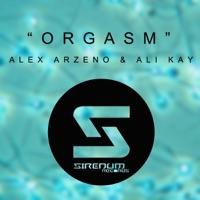 Orgasm (disco mix)