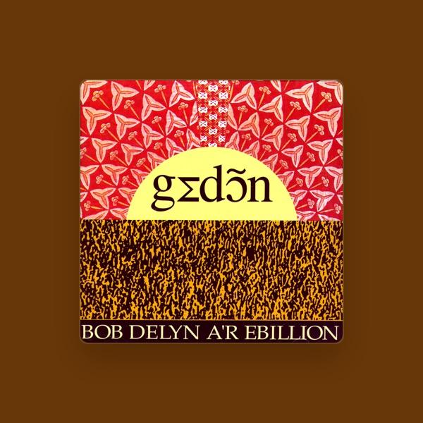 Bob Delyn A'r Ebillion