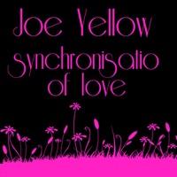 Synchronisation Of Love (Vocal)